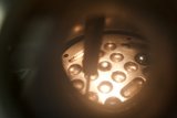 Illuminating the Darkness