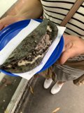 Sea Bass Sandwich
