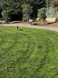 Peaceful Stroll in the Park
