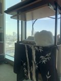 Desk Companion