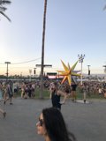 A Stroll through the Palms
