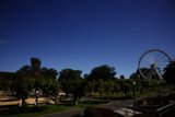A Whimsical Day at the Amusement Park
