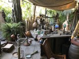 Jungle Tabletop Treasures