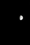 Lunar Serenity