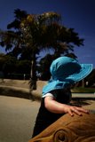 Summer Explorations in Golden Gate Park