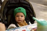 Green Hat Adventures: Chinatown Stroll