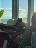 Cozy Afternoon with Feline Friend