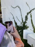 Capturing Nature's Art