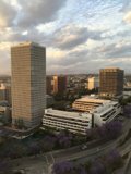 Urban Metropolis