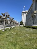 Serenity at San Francisco City Hall