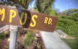 The Symbolic Street Sign