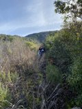 Wilderness Wanderer