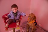 Blossoming Bonds: A Boy and His Dog
