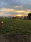 Sunset Run