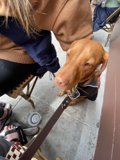 Relaxing with My Best Friend