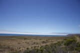 Summer Stroll Along the Coast