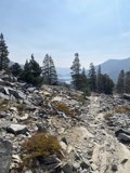 Amongst the Rocky Wilderness
