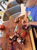 Pomegranate Playtime