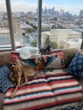 Cozy Company