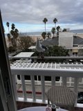 Seagull on a Santa Monica Balcony