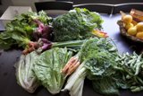 Fresh Harvest from South Central Garden