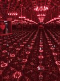 Red Reflections