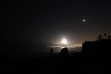 Moonlit Beach Silhouettes