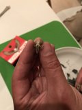 Tiny Visitor