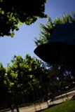 Summer's Innocence: Captured Moments at The Academy