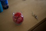 Red Flowers in Glass Vase