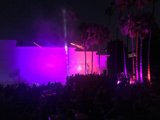 Purple Haze