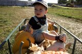 Pumpkin Wagon Adventure