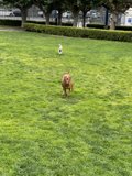 Playtime in the Park