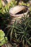 Pottery with a Purpose