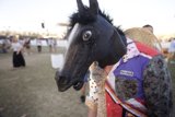 Horse-Headed Human