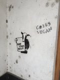 Vegan Activism Street Art