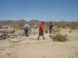 Exploring the Archaeological Wonders of the Desert