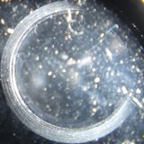 Porthole of the Machine