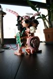 Robotic Plant Companion