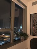 View of the City from The Broad