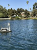 Tranquil Sailboat on a Summer Lake