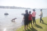 Fun in the Sun with Furry Friends