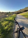 Embracing the Open Trail