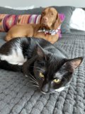 Cozy Companions