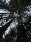 Cathedral of Giants