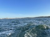 Bay Bliss