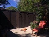 Relaxing in the Backyard