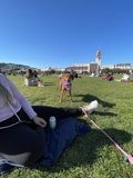 A Day in Mission Dolores Park