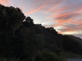 Sunset Splendor