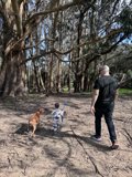 Strolling Through Nature: A Man and His Best Friend
